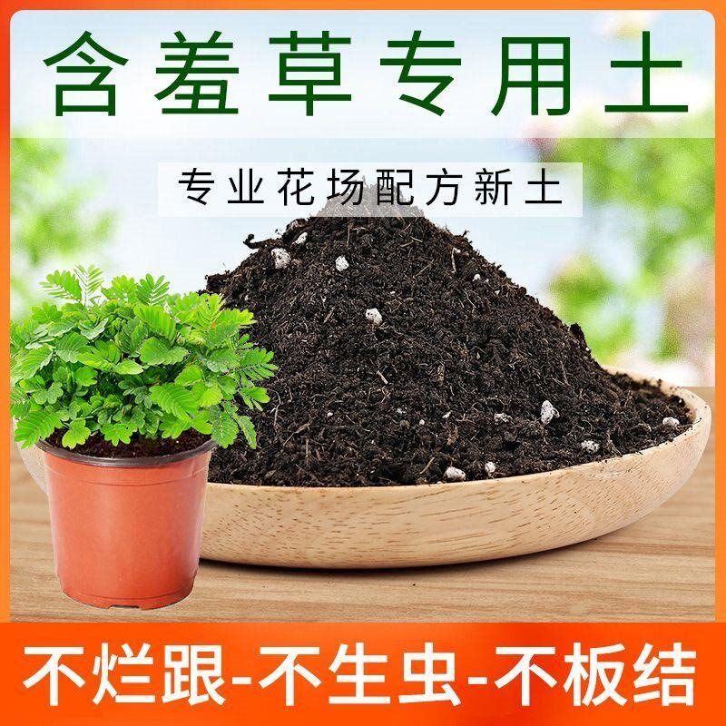 含羞草营养土种菜养花专用土盆栽绿植有机土肥料植物花卉种植花土