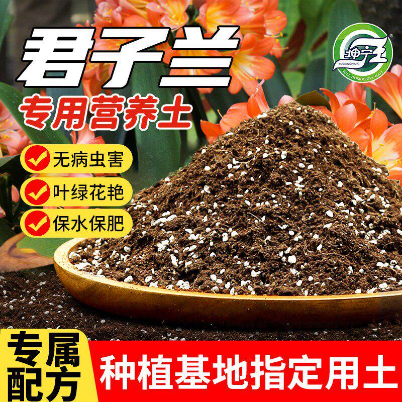 君子兰专用营养土兰花土肥腐殖腐叶土盆栽种植肥料松土壤家用透气