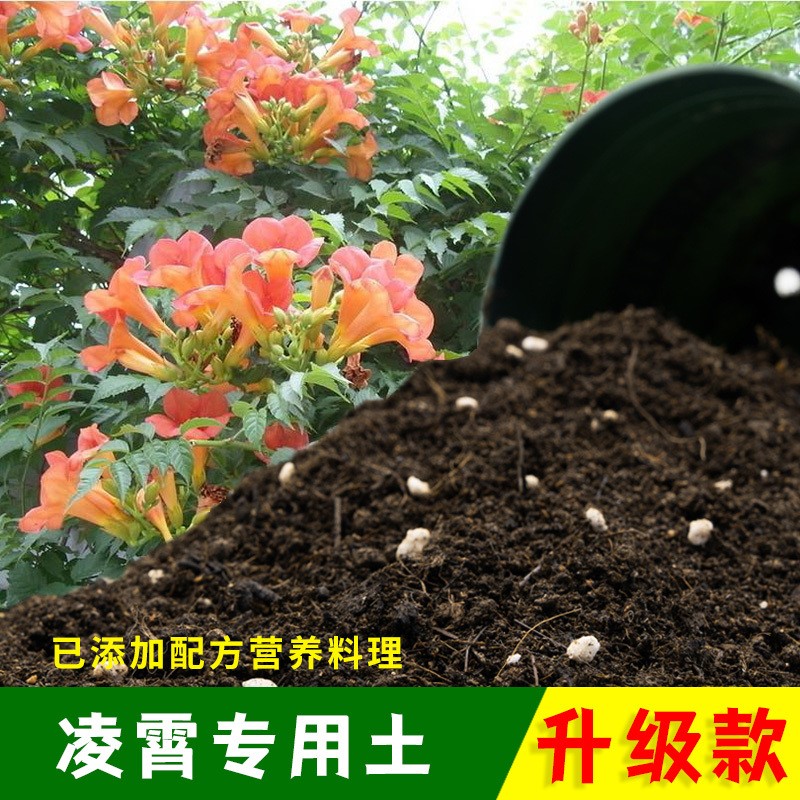 凌霄专用土凌霄营养土有机土肥料家用种植土盆栽种花养花泥土包邮