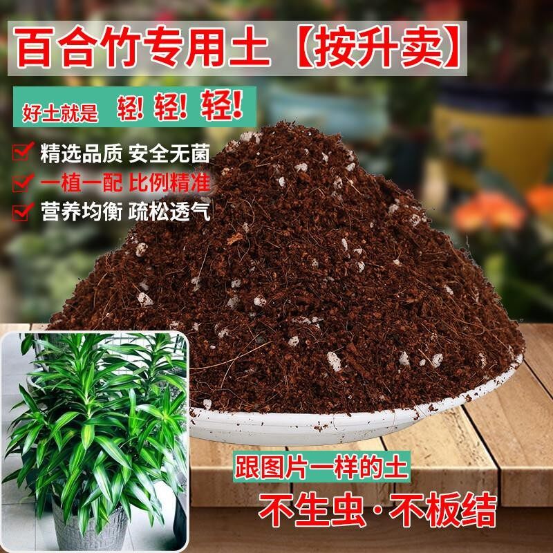 百合竹专用土轻质土专用营养土盆栽土养花种花土通用种植土壤肥料图片