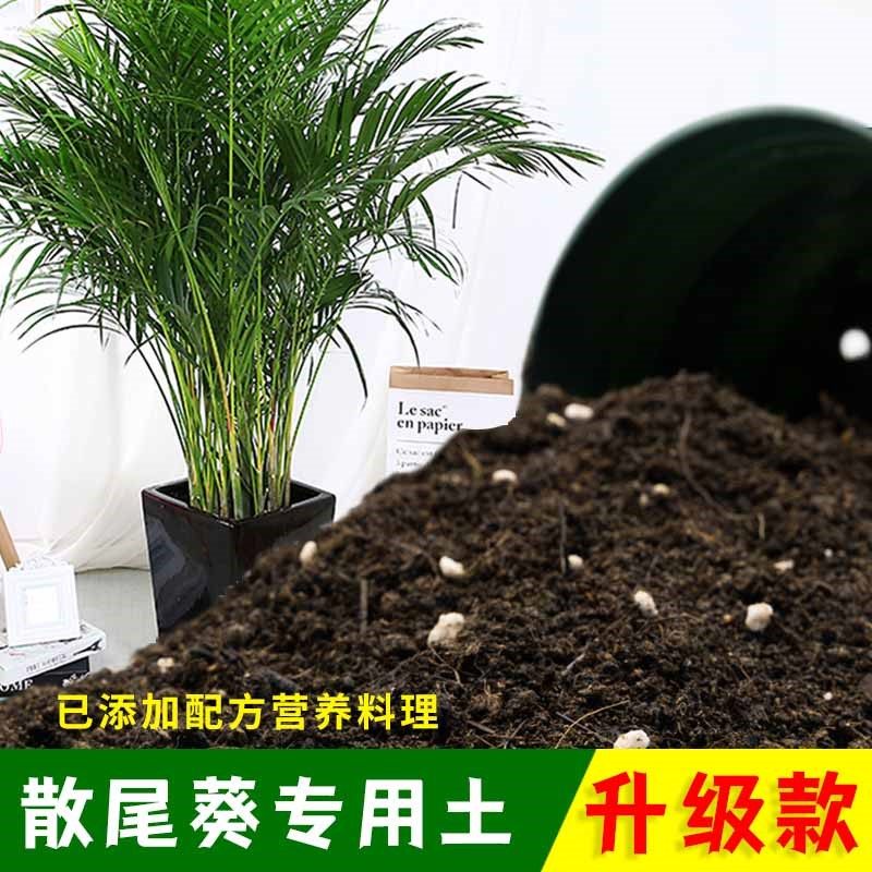 散尾葵专用土家庭盆栽土肥料种花泥土散尾葵营养土专用绿植种植土
