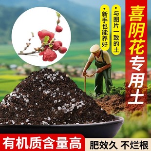 喜阴花营养土疏松透气含泥炭肥料通用有机种植土适用土批发土