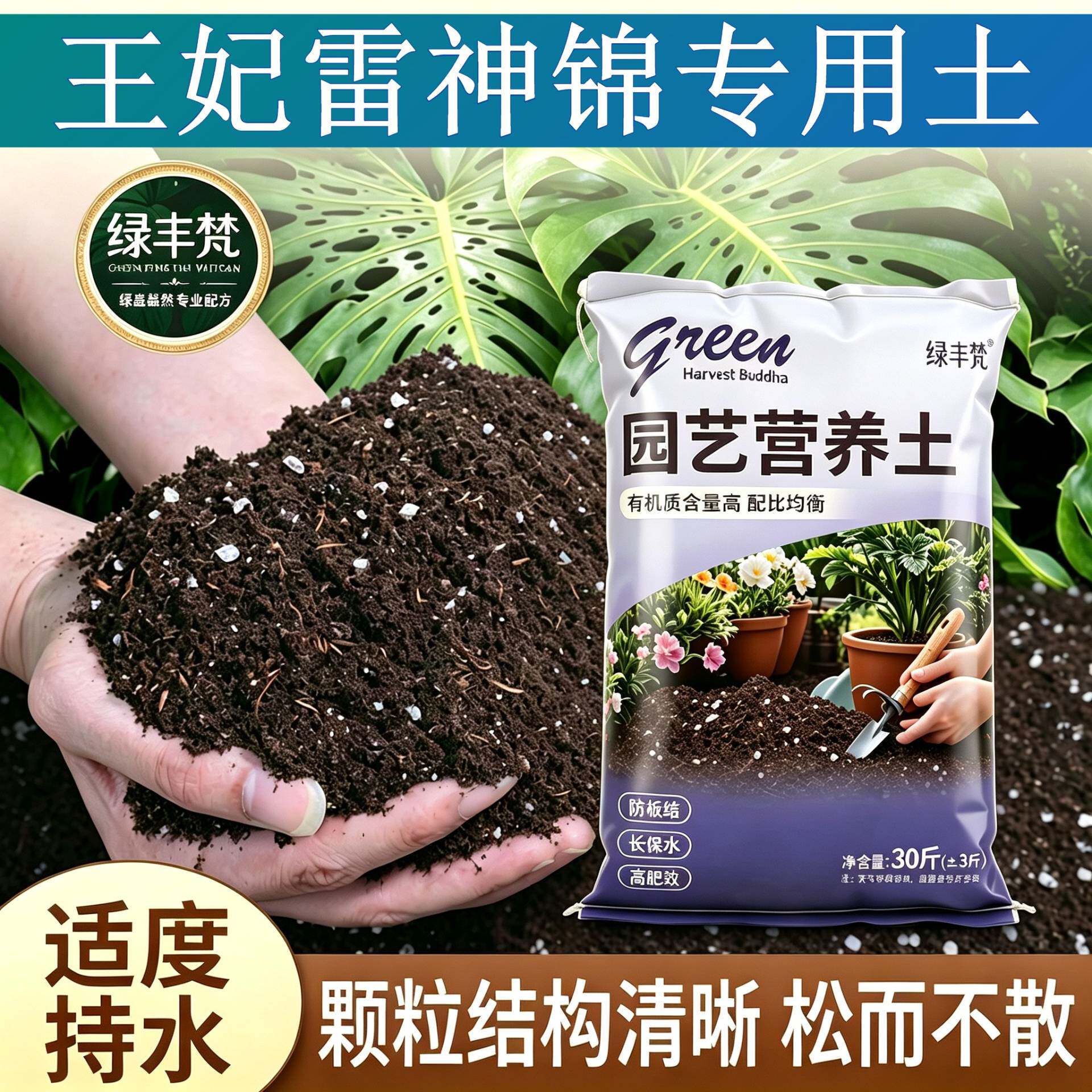 王妃雷神锦适用腐叶土疏松透气不烂根盆栽包邮天然增色木本大包