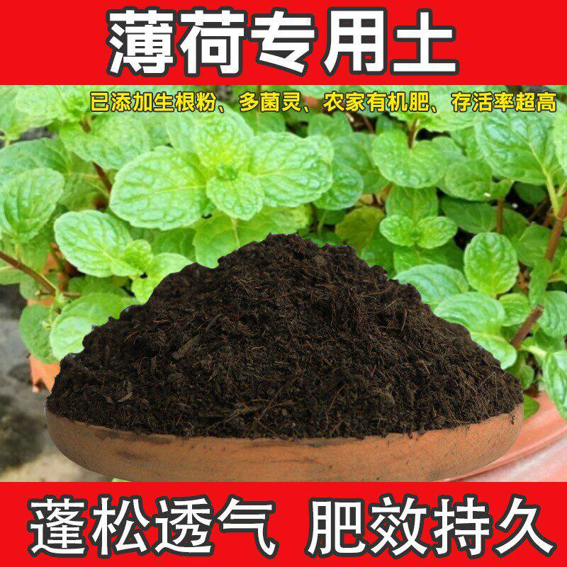 薄荷专用土植物花肥腐殖土有机土增根壮苗薄荷营养土发酵土肥料