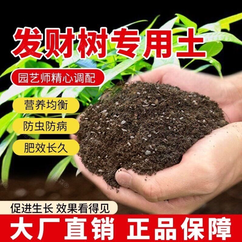 发财树专用土发财树营养土养花绿植花土种植土园艺花肥种花家庭