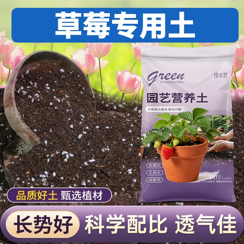 草莓专用基质不板结扦插加牛粪精选壮根喜酸大包进口包邮泥炭土