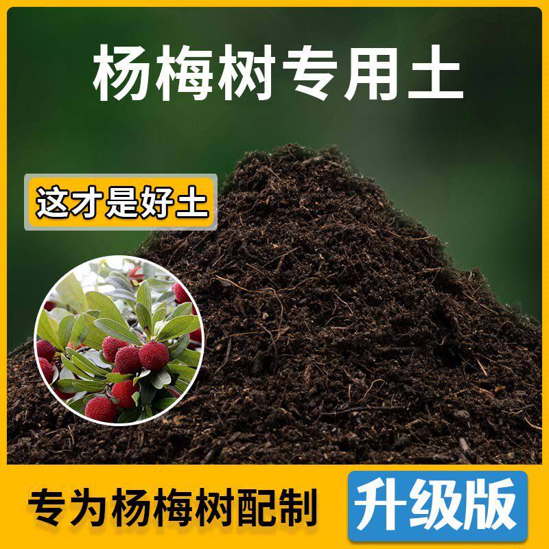 杨梅树专用土杨梅树营养土家用种植土壤家庭盆栽种花养花有机土