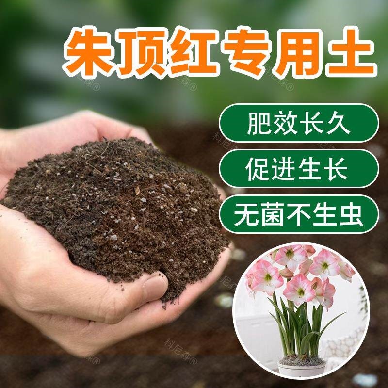 朱顶红专用土绿植营养土球根盆栽专用土花土壤种植土泥土有机肥料