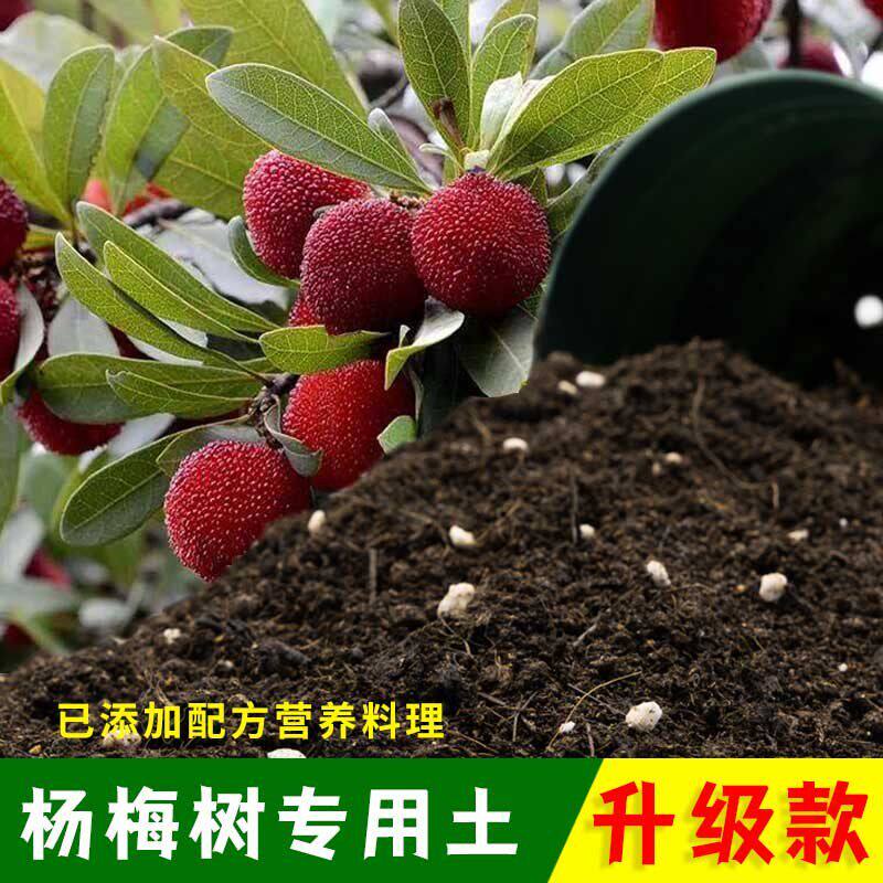 杨梅树专用土有机土肥料家用种植土杨梅树营养土盆栽养花通用包邮