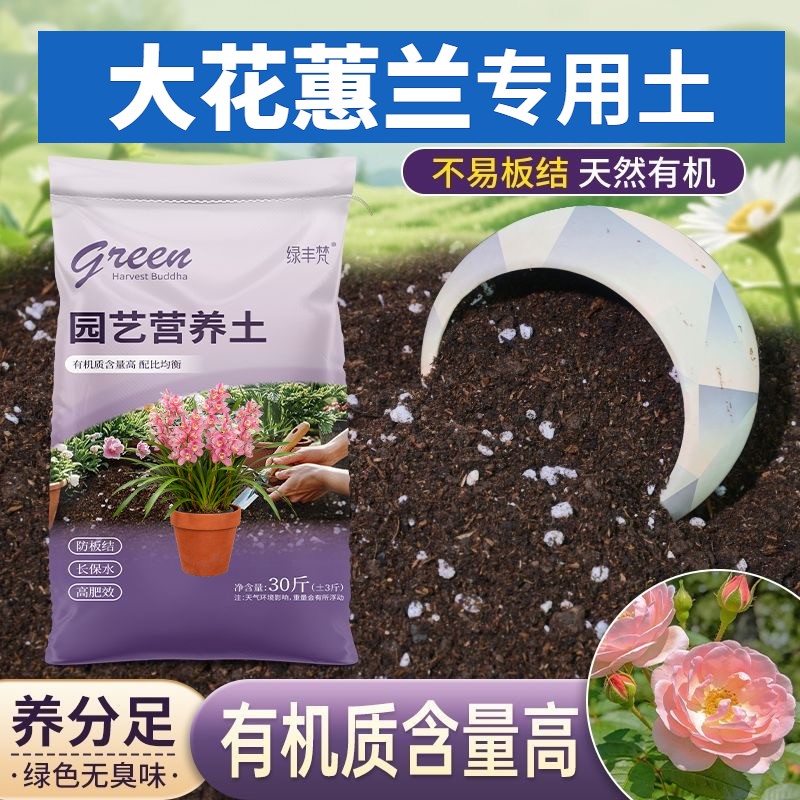 大花蕙兰适用种菜土加珍珠岩家庭园艺加深生根粉天然促生长喜酸