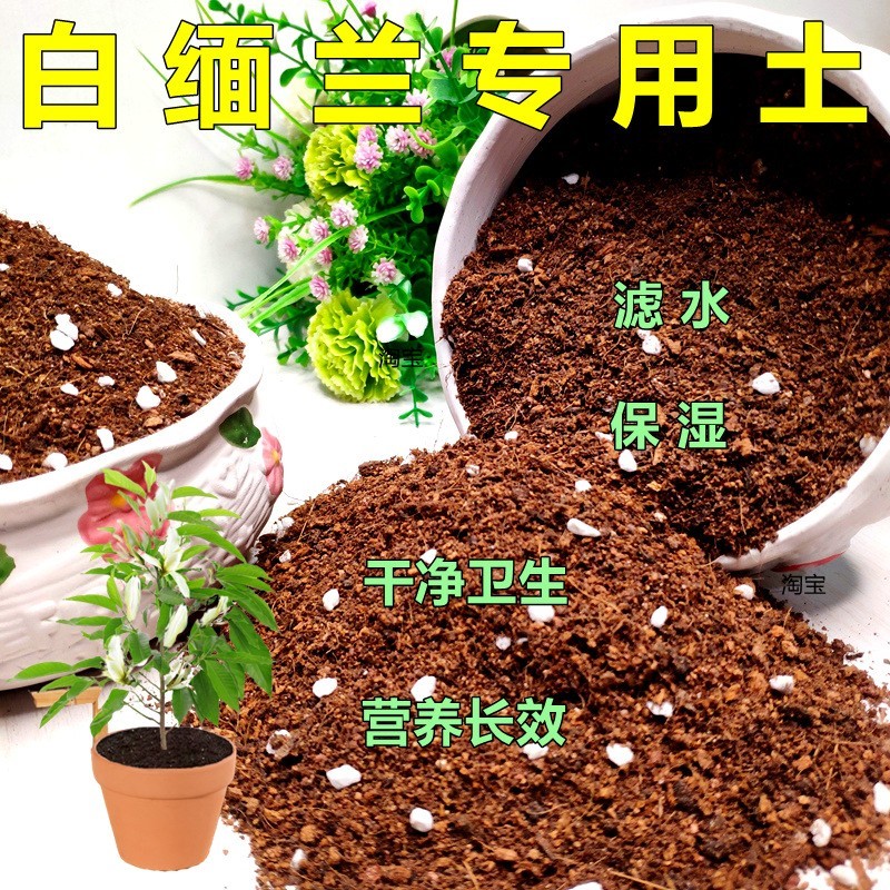 白缅兰盆栽栽培土含泥炭腐殖泥炭土阳台花园包邮基质保水保肥大包