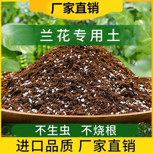 兰花专用土营养土君子兰蝴蝶兰虎皮兰草高端植料水苔泥养种兰科石
