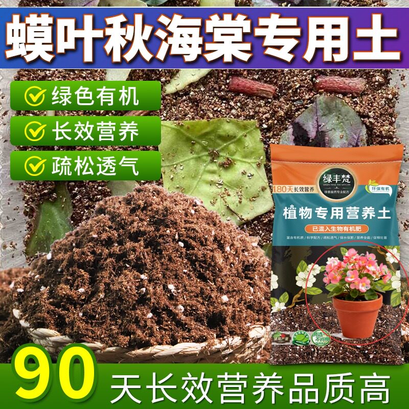 蟆叶秋海棠专用种植土轻质好用盆栽土配比科学维持疏松无草籽观花