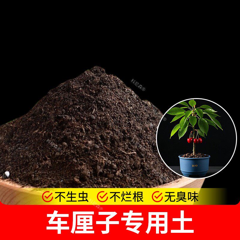 车厘子专用土营养土果苗泥土果园种植土盆栽土家庭栽培土果树土壤