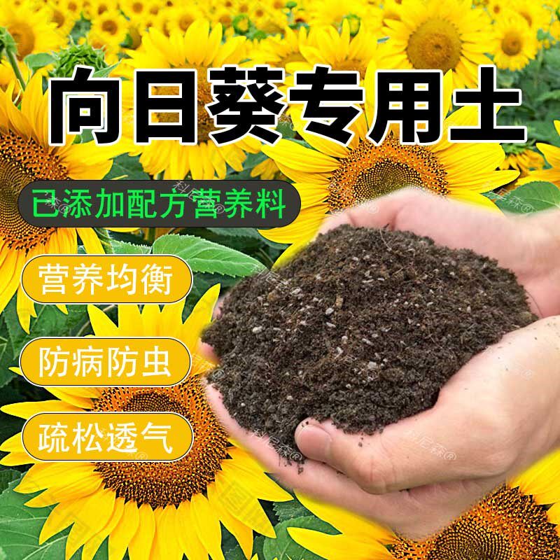 向日葵专用土阳台盆栽有机营养土花土泥炭通用土种花养花种植土壤