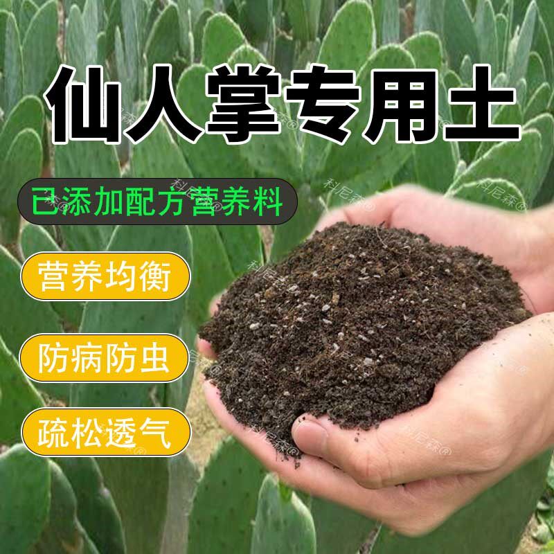 仙人掌专用土种养仙人掌营养土仙人球土专用肥料多肉种植疏松泥土