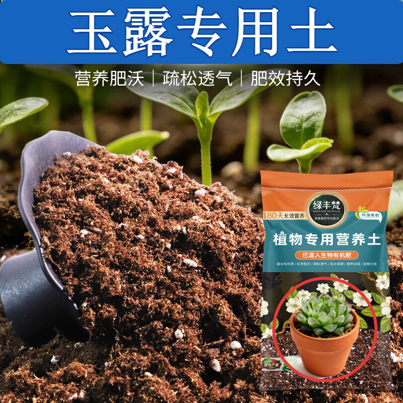 玉露适用种植土防烂根屋顶营养土细腻均匀留存肥力开袋即用多肉
