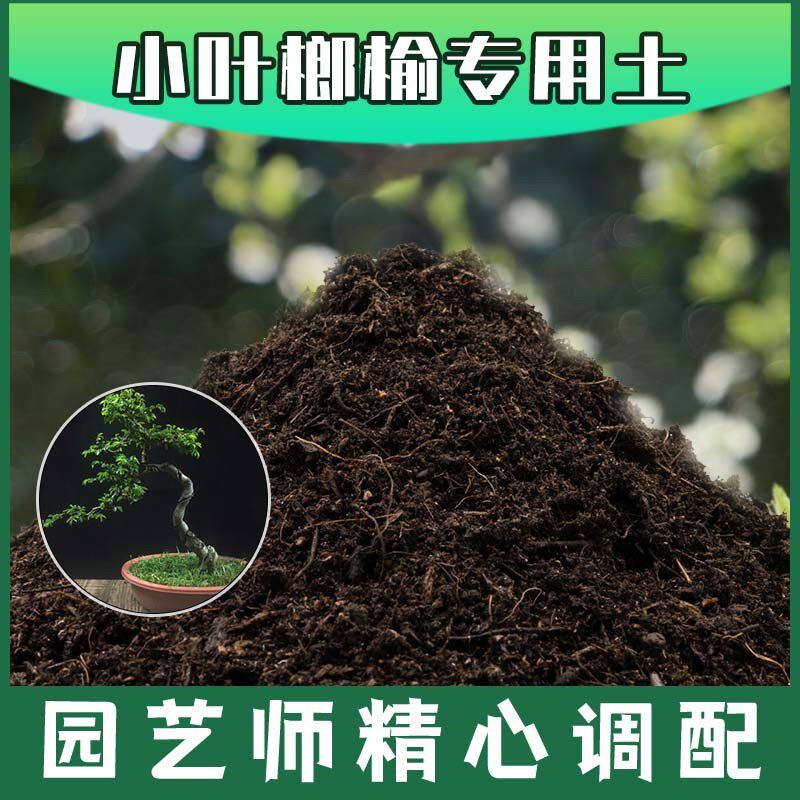 小叶榔榆专用土腐殖土种花盆栽土小叶榔榆营养土肥料种植有机土壤