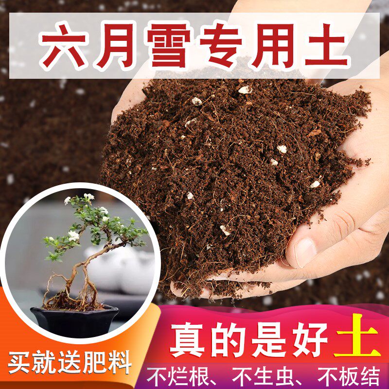 六月雪专用土蓬松营养土养花专用土花土营养土通用型家用花泥土壤