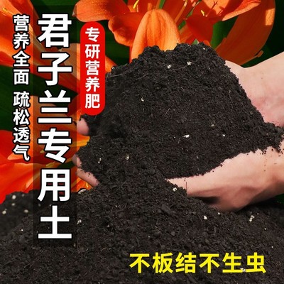 君子兰专用土兰花通用型营养土盆栽花卉有机种植土壤养花泥土肥料