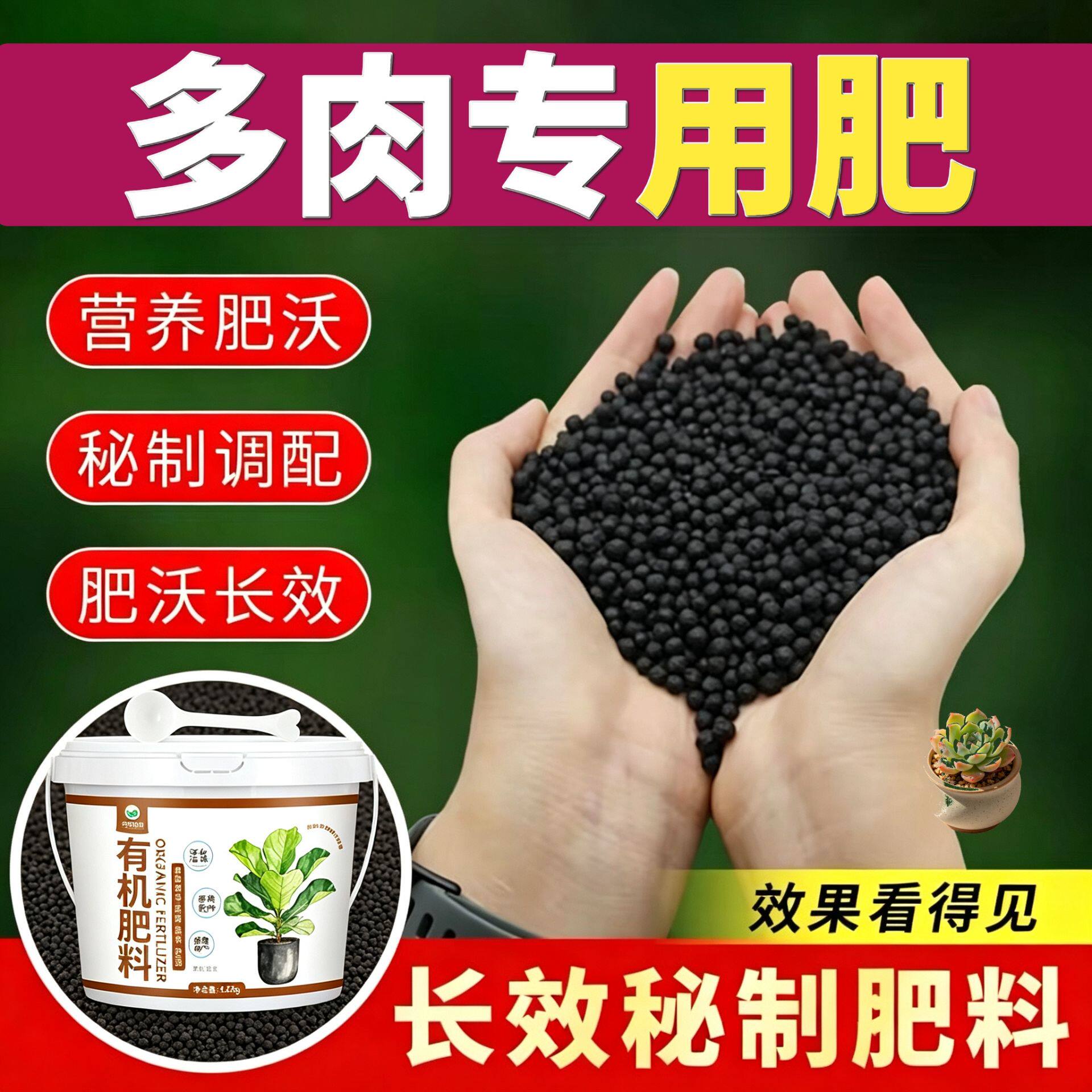 多肉专用肥花肥氮磷钾室内盆栽追肥不烧苗促结果根系发达缓释长效
