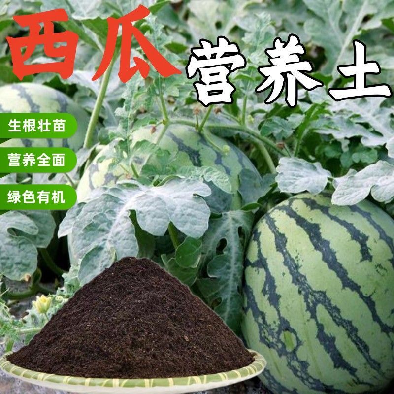 西瓜专用土种植土育苗通用营养土家用田园土阳台瓜果树专用肥土壤