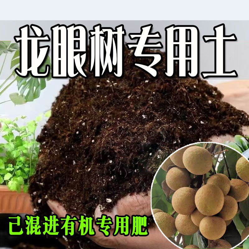 龙眼树专用土 龙眼树专用营养土 盆栽养花种花土通用种植土壤肥料