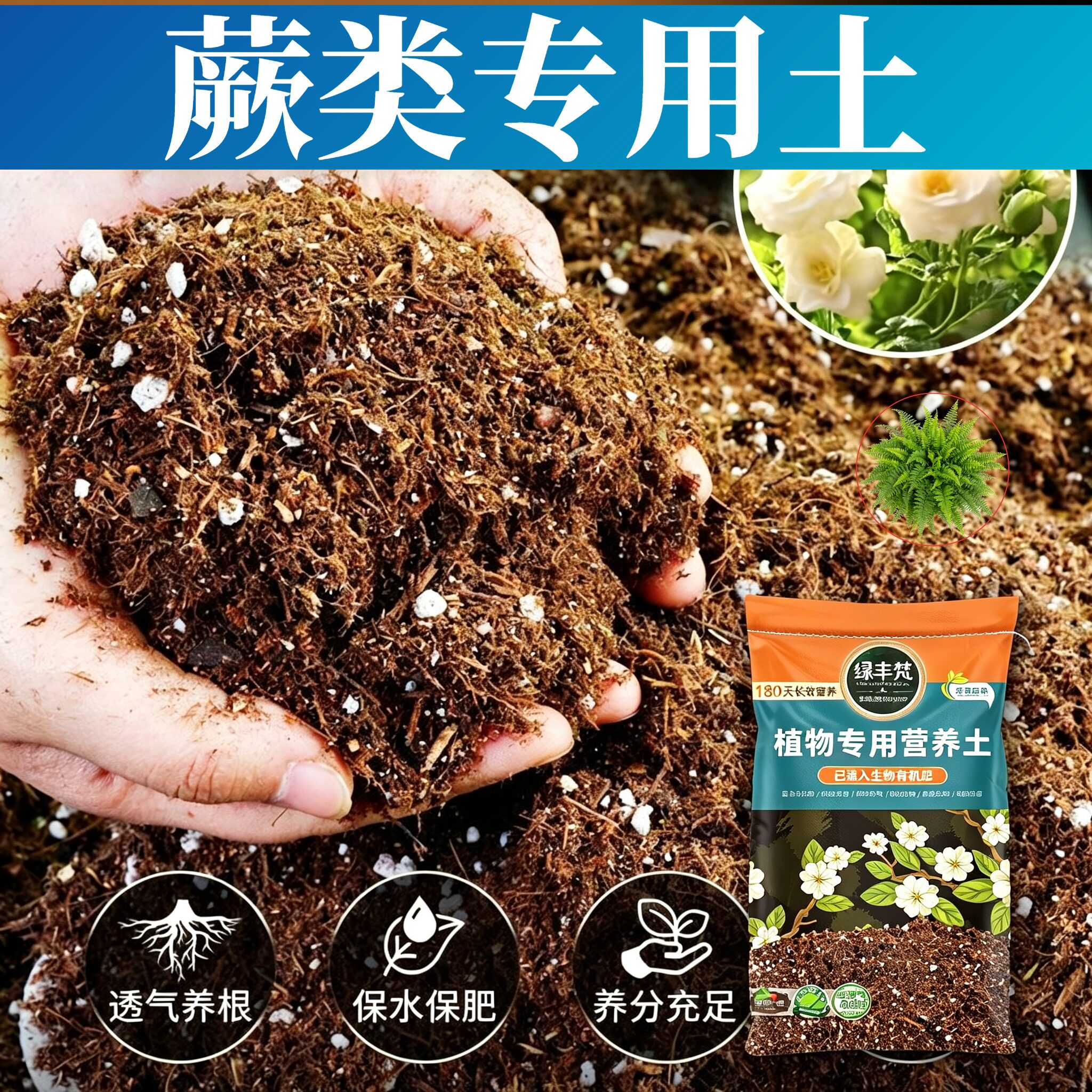 蕨类适用花土富含有机质绿萝营养土优质保水锁水实惠装喜酸观叶
