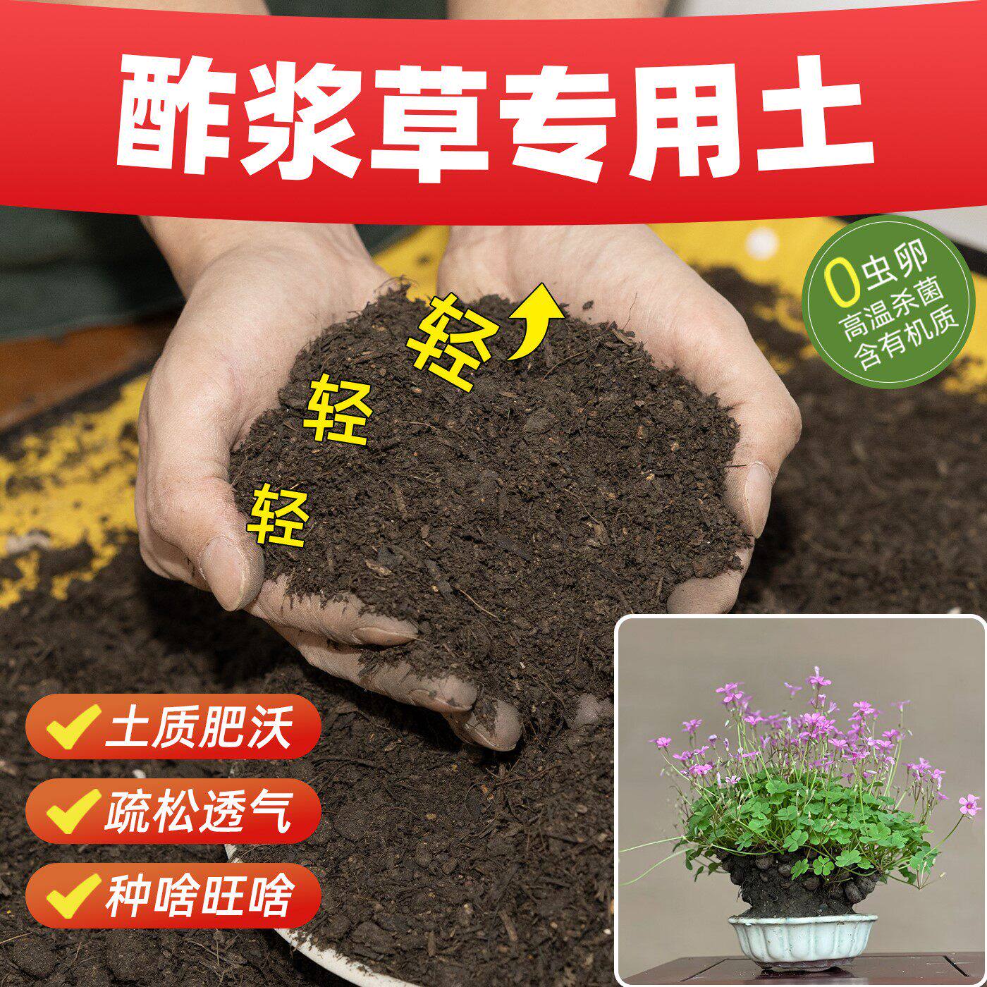 酢浆草专用营养土壮根苗通用型促开花高端土爆花爆育苗土室内盆栽