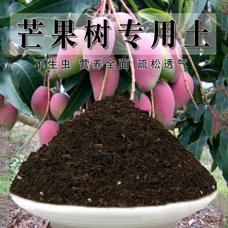 芒果树专用土芒果树土种植土壤养花土盆栽种花泥土营养土透气通用
