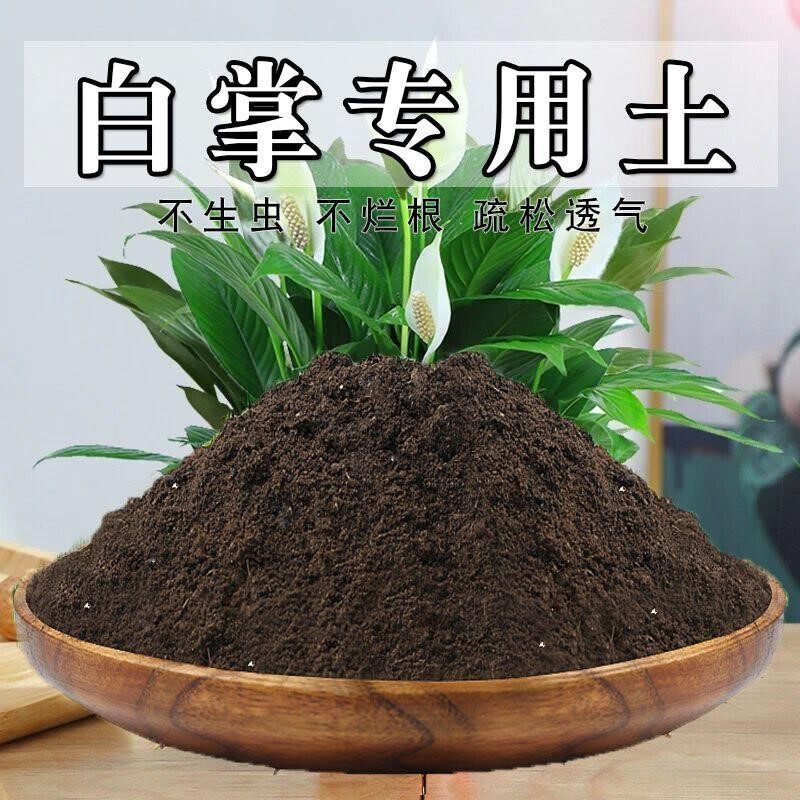 白掌专用土白掌土盆栽营养土家用室内酸性泥碳种花养花种植土肥料