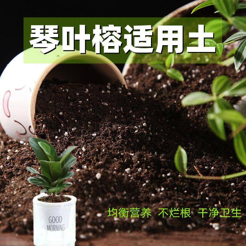 琴叶榕适用土酸性种花土壤营养土通用疏松透气花泥家用有机种植土