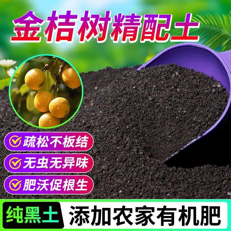 金桔树有机营养土养花种菜专用土轻质土农家肥土疏松