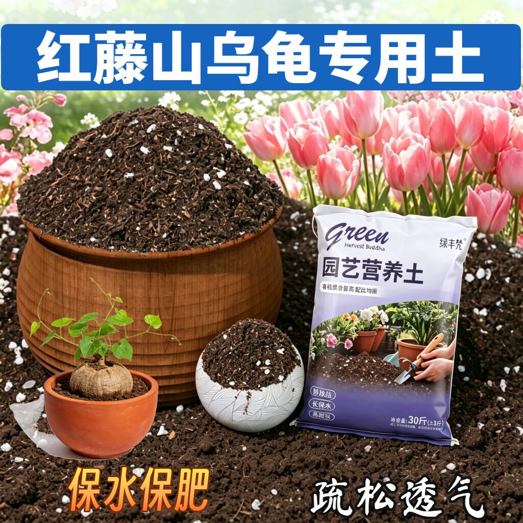 红藤山乌龟适用含泥炭疏松透气高温灭菌盆景包邮无菌增色球根有机