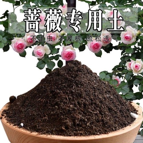 蔷薇专用土玫瑰花专用营养土盆栽养花种花土通用种植土壤有机肥料
