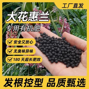 大花惠兰专用肥料植物营养肥料大花惠兰专用营养土绿植专用肥家用