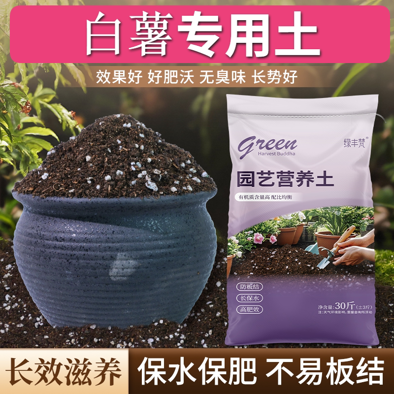 白薯专用养花土根壮苗好疏松透气园艺包邮优质绿叶观花加深生根粉
