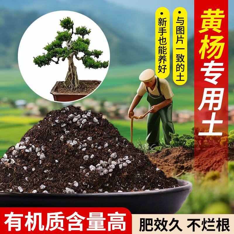 黄杨专用营养土疏松透气含泥炭肥料通用有机种植土适用土轻质土壤