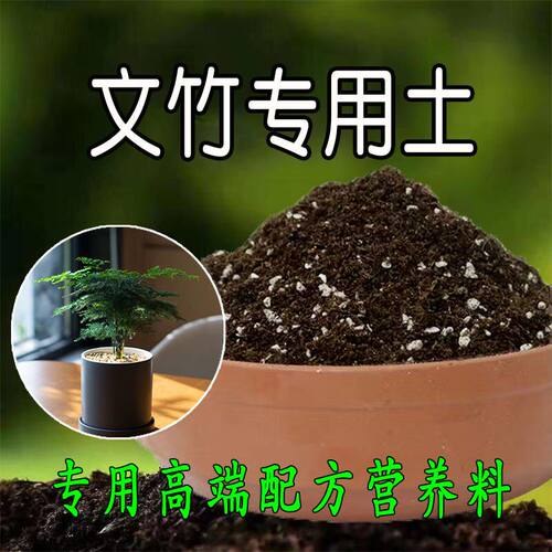 文竹营养土养花文竹专用通用型家用盆栽有机花泥土壤种植土腐殖土