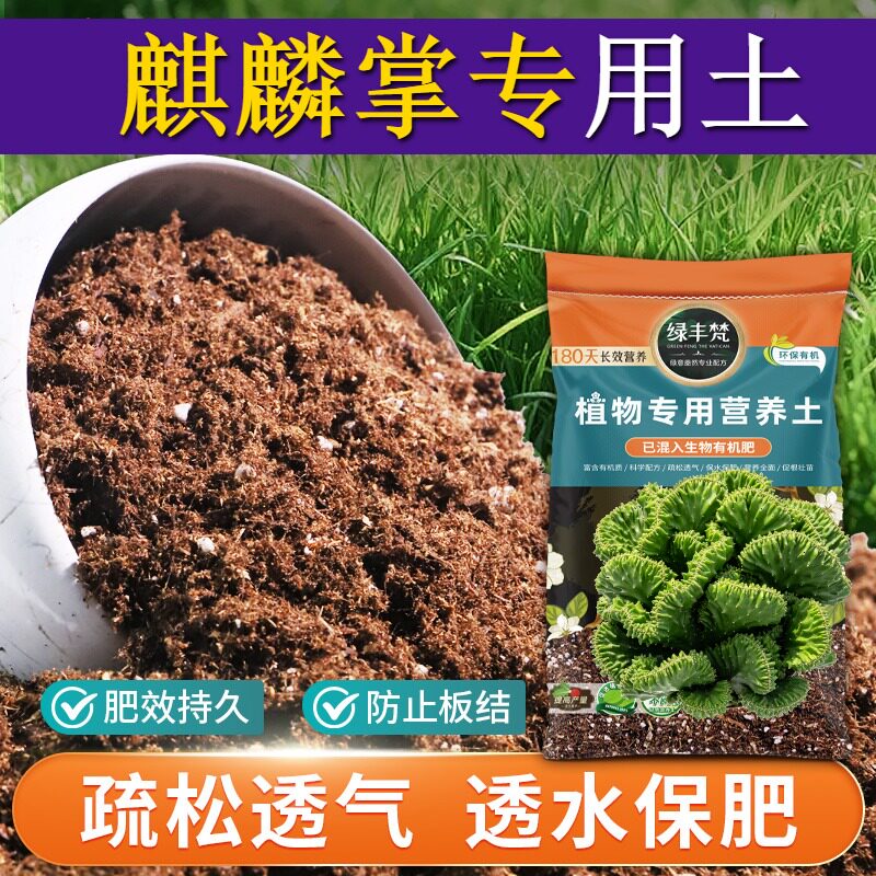 麒麟掌专用园艺土保水保肥养花盆栽土结构稳定增色开袋即用观叶