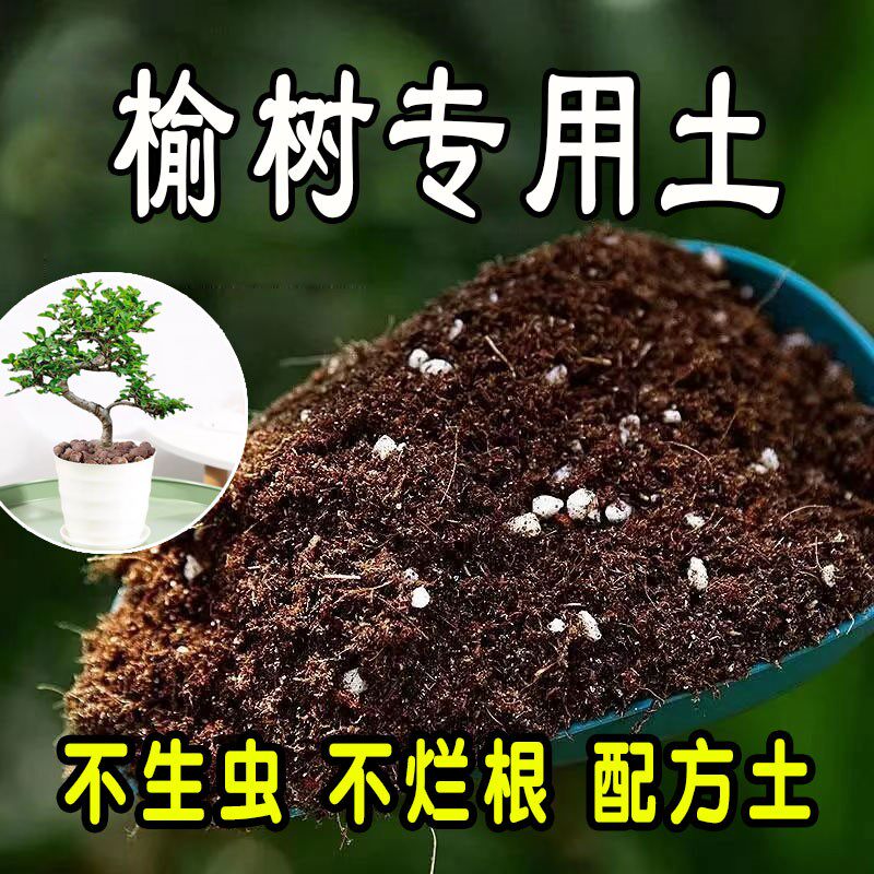 榆树专用营养土 榆树专用土 盆栽通用型种花养花绿植种植土有机土