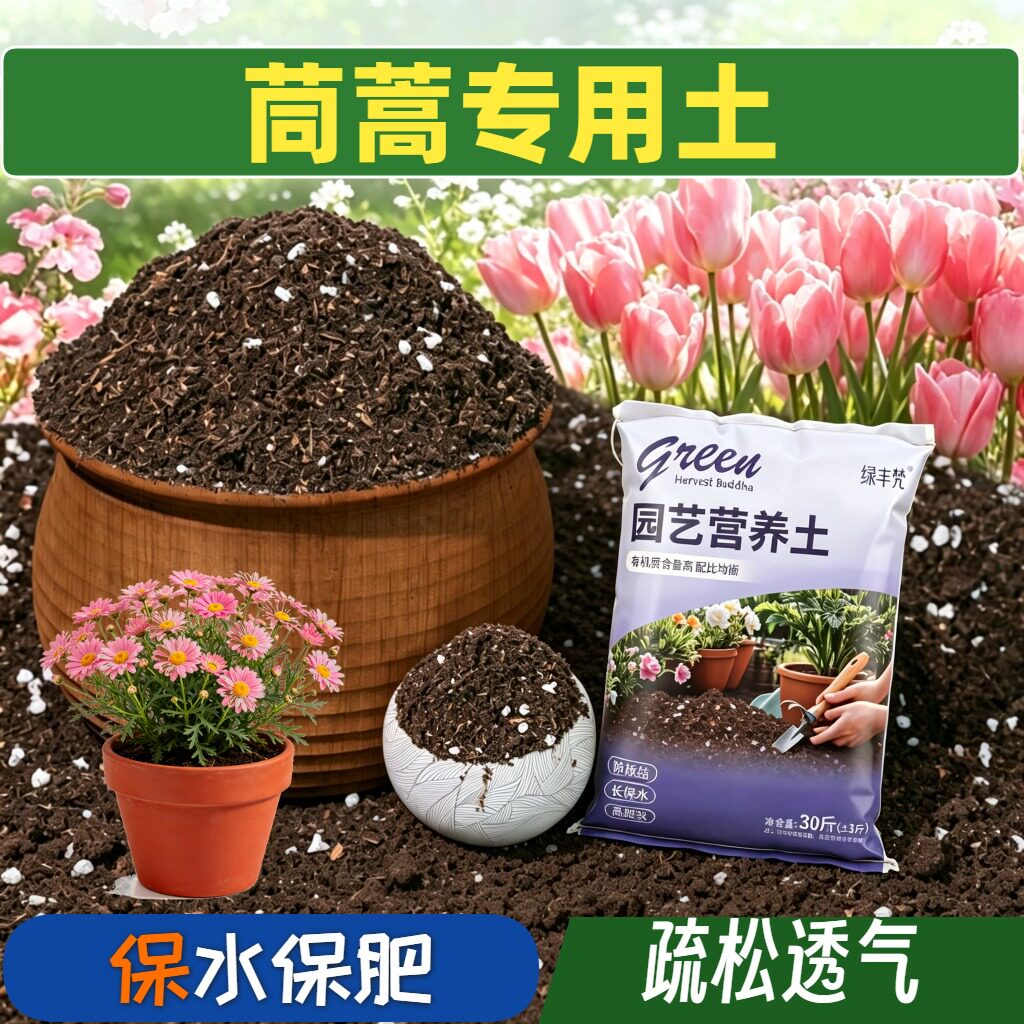 茼蒿适用营养土加珍珠岩室内加有机肥无菌增色喜酸花园进口泥炭土