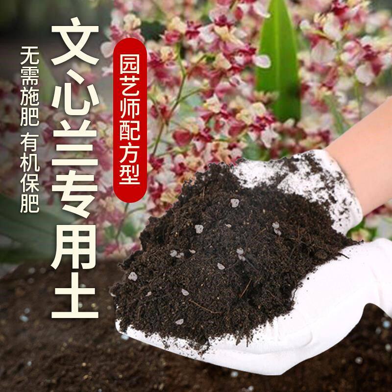 文心兰专用土肥料透气花草椰砖文心兰营养土养花室内种植花卉泥土