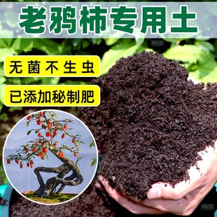 老鸦柿专用土种花营养土家用盆栽观景肥料土养花植物通用有机花土