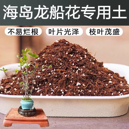海岛龙船花专用土壤种植土花泥通用型营养土建兰寒兰兰科植料新土