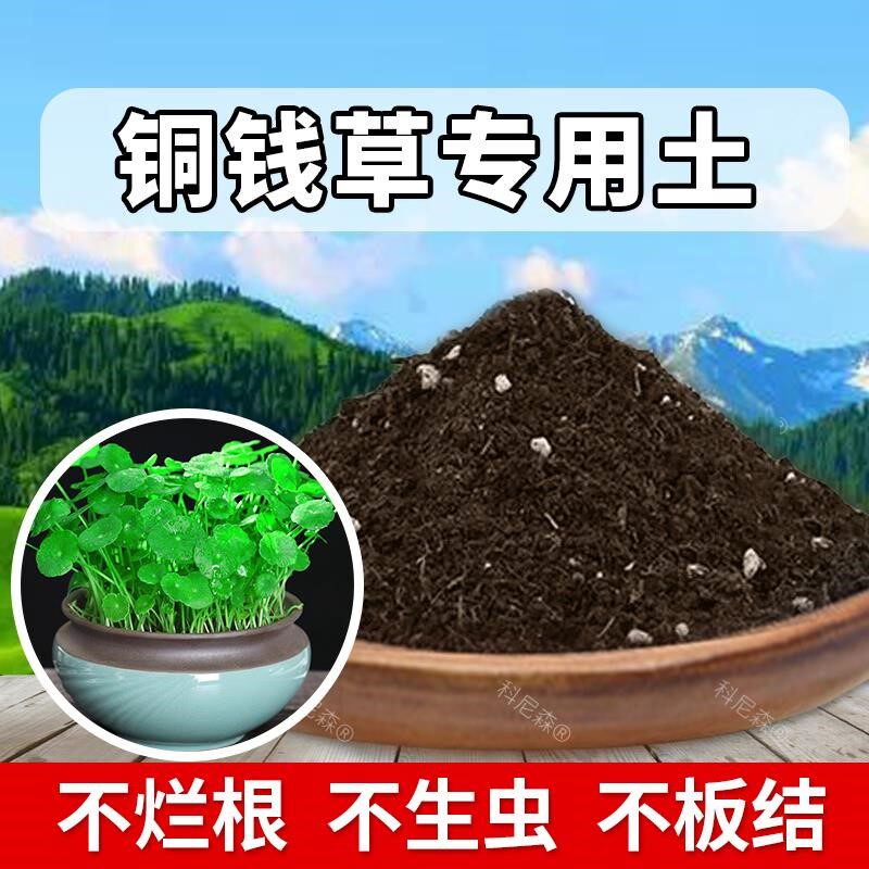 铜钱草专用土肥料铜钱草营养土园艺绿植种植泥土天然阳台盆栽土壤