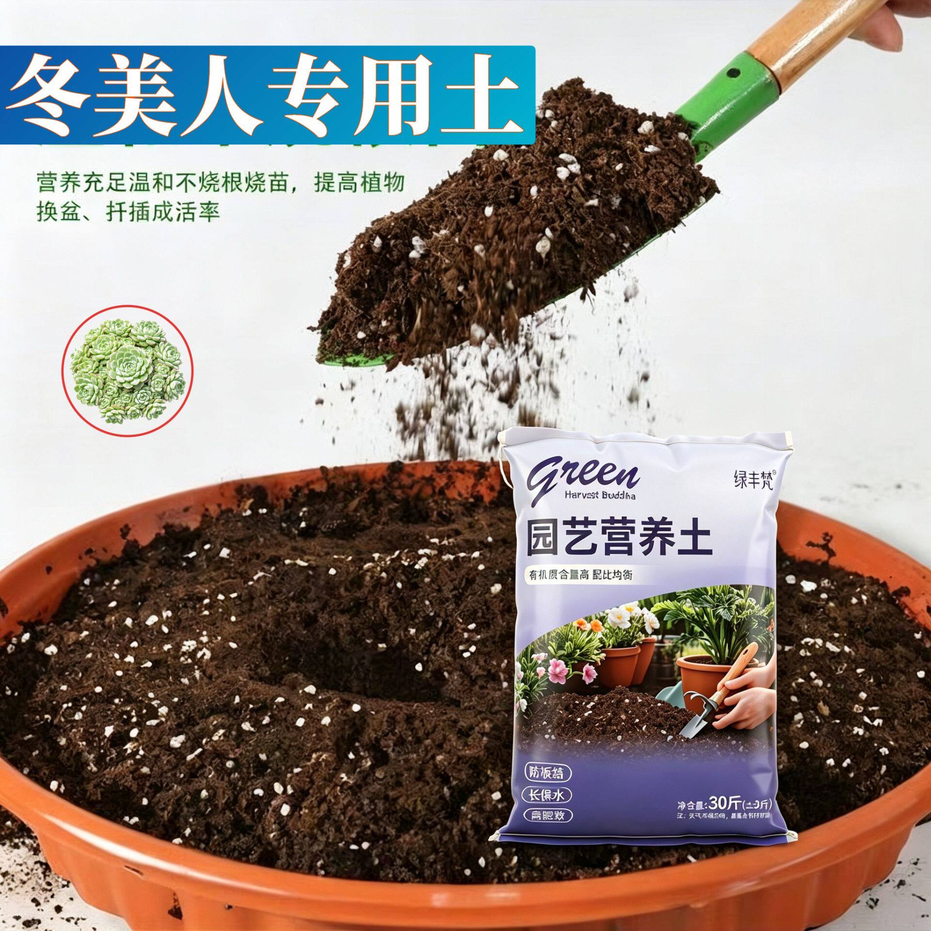 冬美人专用含泥炭疏松透气家庭园艺加深生根粉优质促生长观叶包邮