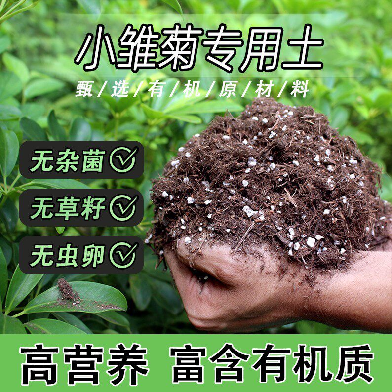 小雏菊专用土家用盆栽绿植通用营养土养花轻质蓬松有机花泥肥料土