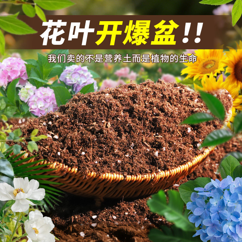 酒瓶兰专用轻质有机土家庭适用花盆盆栽土天然原料壮根家用装观花