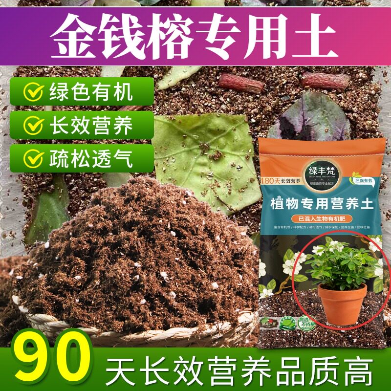 金钱榕适用轻质园艺土利于发根盆栽土无菌留存肥力开袋即用观花